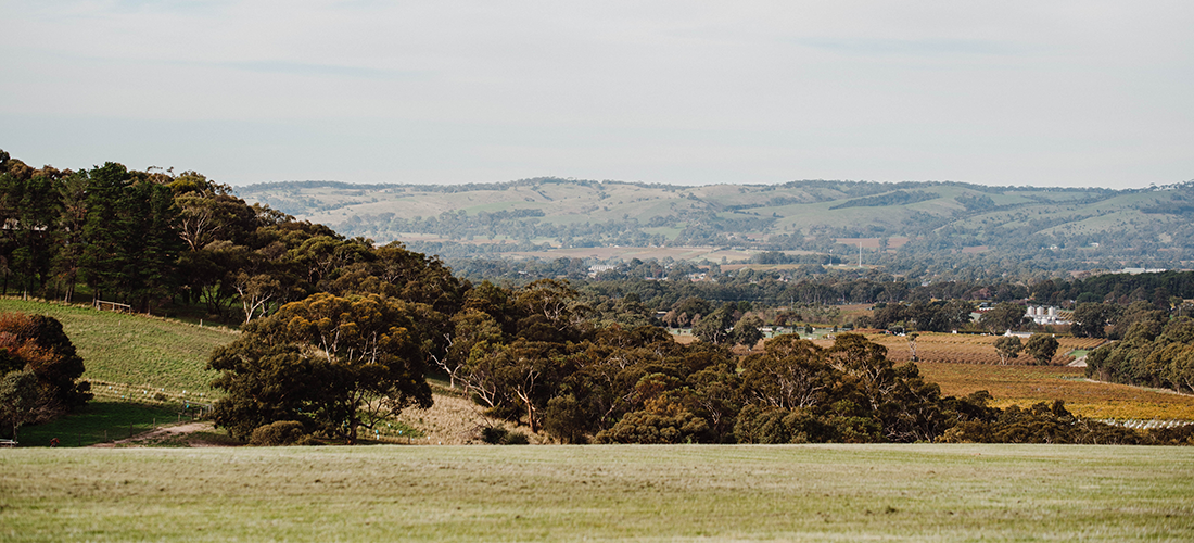 Chalk Hill landscape